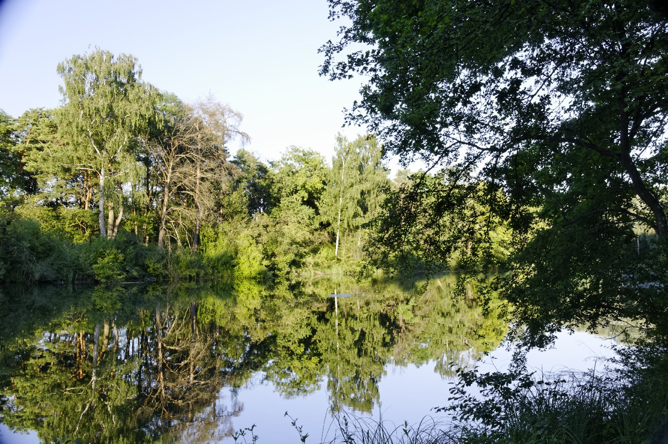 Der Auwaldsee bei Ingolstadt
