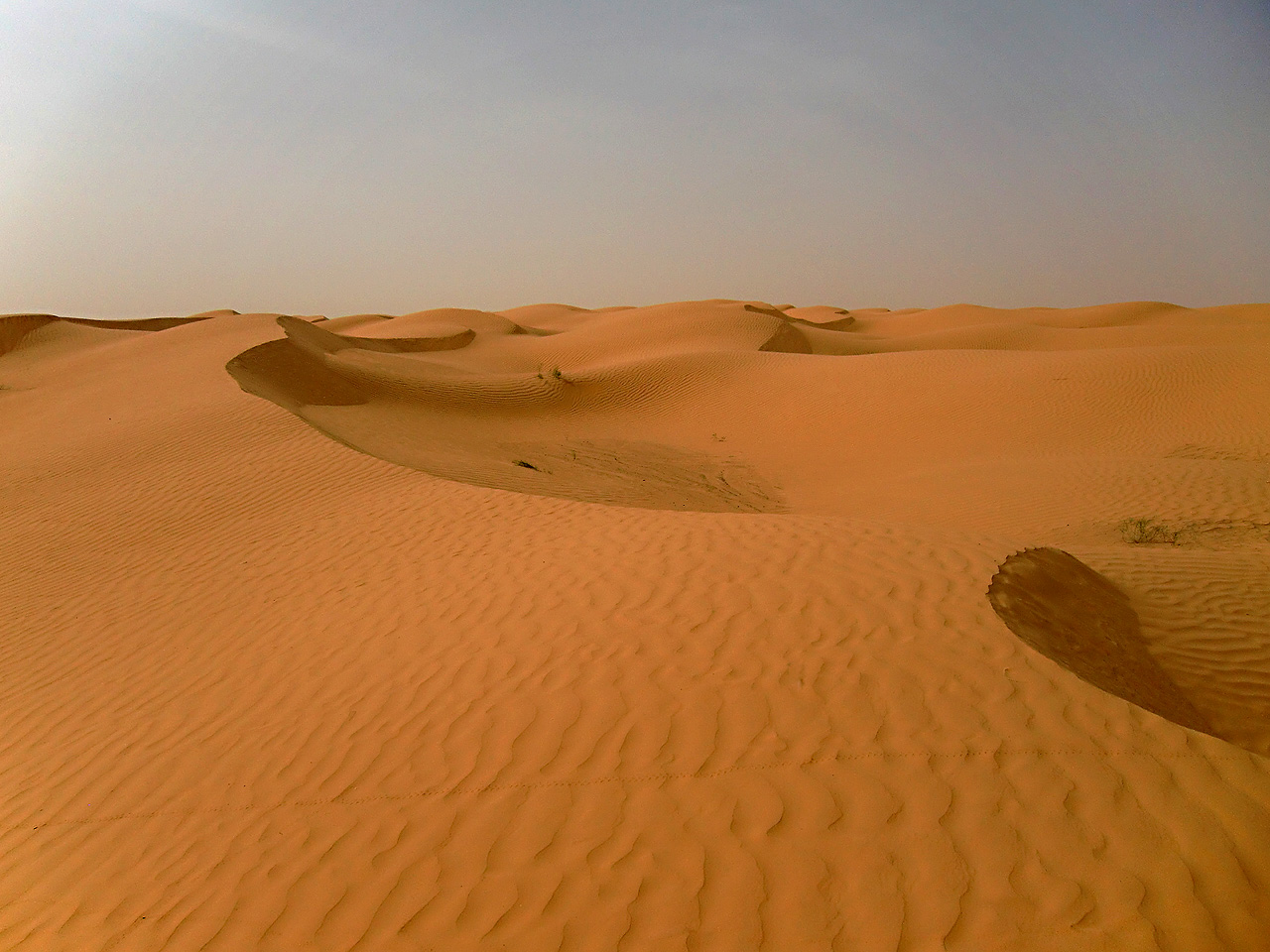 Sahara (Douz)